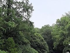 -蜀冈西峰生态公园