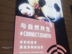 -郑州新郑国际机场