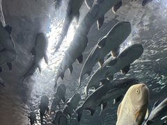 -波塞冬旅游度假区