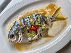 花雕蒸咸鲜仓鱼-金城大酒店-中餐厅(汾江中路店)