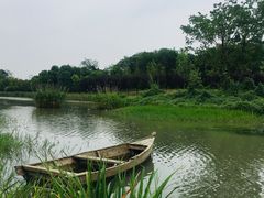 -两河城市森林公园