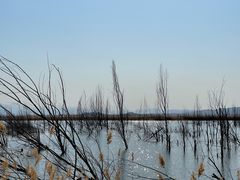 -野鸭湖国家湿地公园