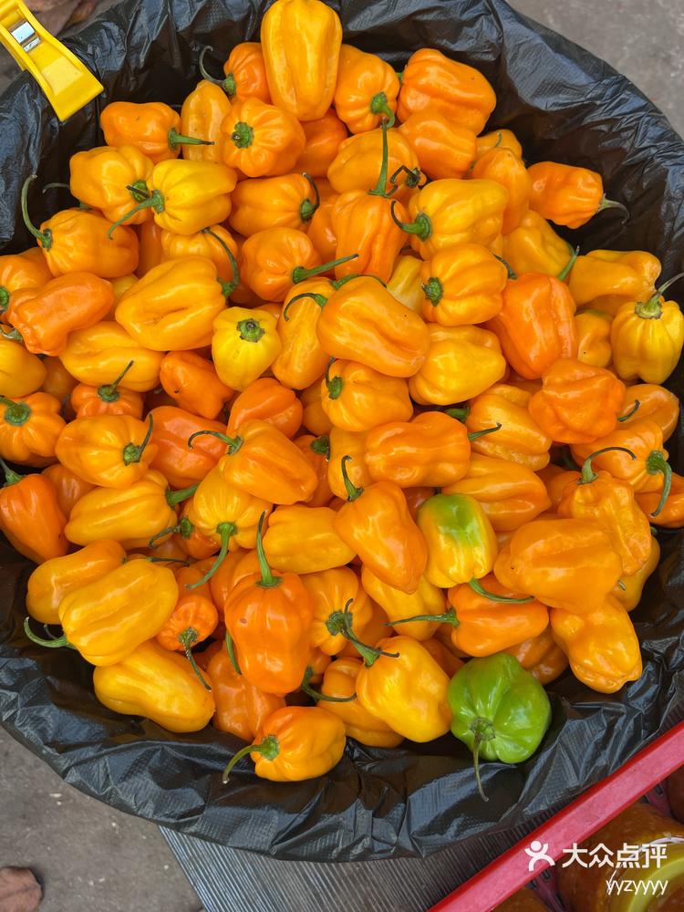 海南黄灯笼辣椒鲜辣咸香爱吃辣的下饭酱