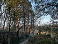 -白马涧龙池景区