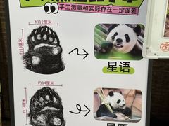 -泉州海丝野生动物世界