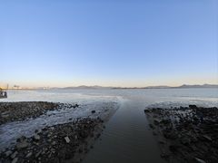 -深圳湾公园(南山区)