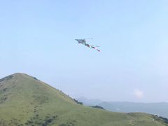 -大姆山草场