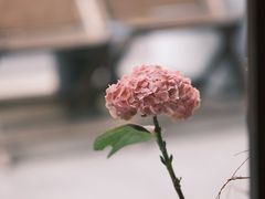 -concerto协奏曲咖啡店