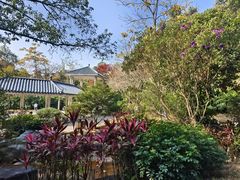 -火炉山森林公园