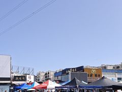 -中环花鸟鱼虫市场