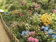 -沈阳植物园