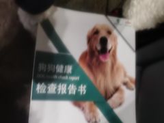 -瑞派宠物医院·24小时骨科·心脏·核磁(哈尔滨南岗店)