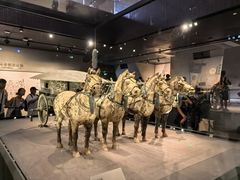 -秦始皇帝陵博物院-丽山园