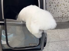 -FAELING PETS美天灵宠物(富力广场店)
