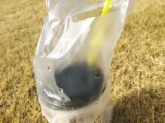 -尊宝比萨(广州塔店)