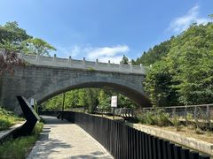 -白水寺森林公园