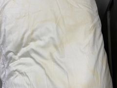 -福奈特洗衣洗鞋(东方路店)