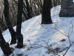 -帽儿山国家森林公园