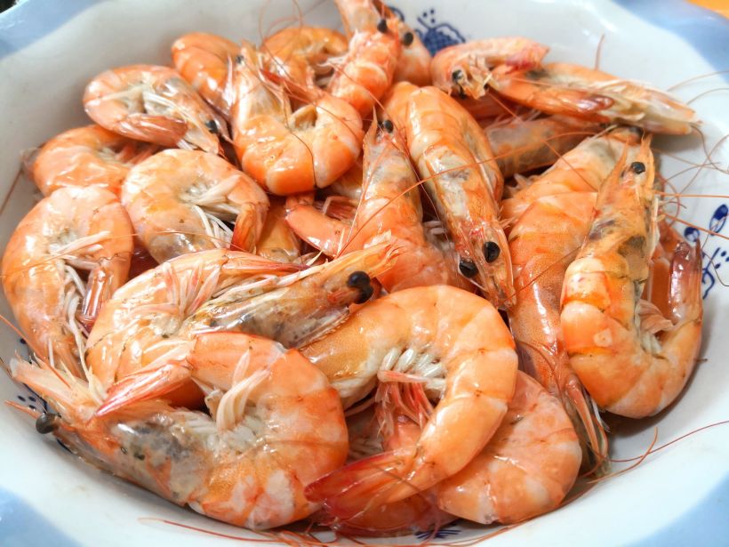 重口味的蚕宝宝来啦