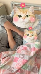 -上海市长宁区妇幼保健院