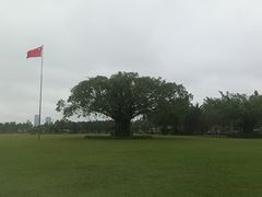 -万绿园