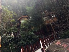 -宁海森林温泉