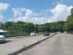 -胜华驾校·小猫学车(银都店)