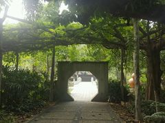 -广西壮族自治区药用植物园