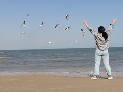 -老虎石海上公园