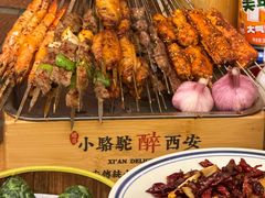 -福苗小骆驼烧烤(莲湖路店)
