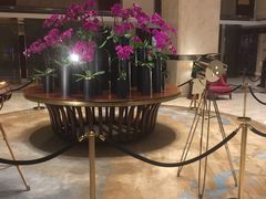 -郑州美盛喜来登大酒店