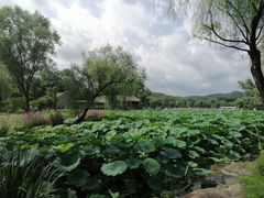 -承德避暑山庄景区