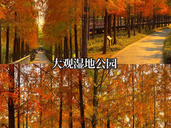 -番禺大夫山森林公园