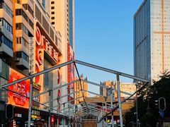-越秀西湖花市(广州城市广场花卉店)