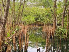 -白沙门生态公园