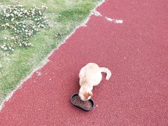 -南京理工大学紫金学院