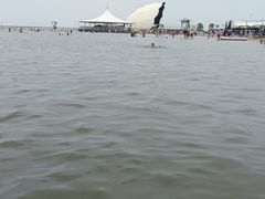 -碧海金沙