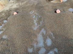-三江森林温泉度假区