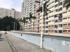-彩虹村
