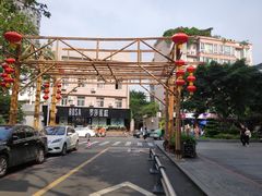 -泡桐树街