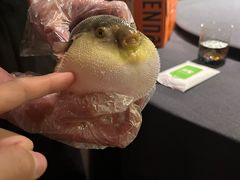 -肆月河豚·淮扬菜·湘菜(华天店)