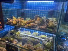 -鸽子侯·家宴·平价海鲜(市图书馆店)