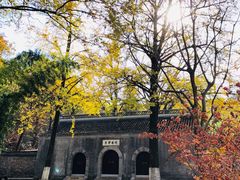 -南山风景名胜区
