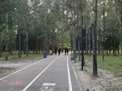 -古塔公园