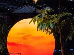 -扬之阿李菌汤火锅(1969店)