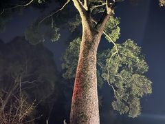 -都江堰普照寺