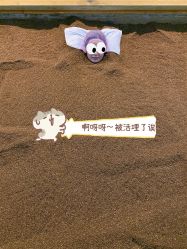 -敖东酵素·离子暖房