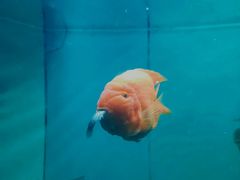 -青岛海底世界-水族馆
