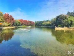 -畔山酒店中餐厅
