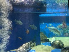 -成都浩海立方海洋公园